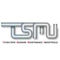TSMI