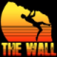 The Wall Climbing Gym