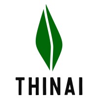 Thinai