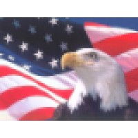 U S DEFENSE CONSULTING