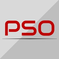 The Professional Sales Organization