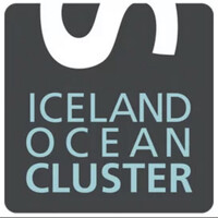 Iceland Ocean Cluster