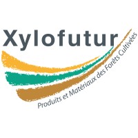 Xylofutur