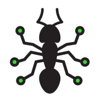 LA HORMIGA VERDE