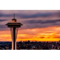 The Seattle SEO Company