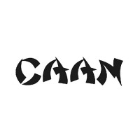 CAAN - Chinese Artists in America Network