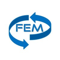 FEM Consulting