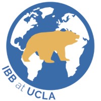 International Bruins in Business