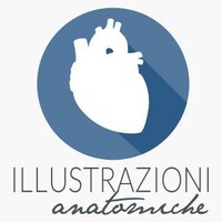 Medical Illustration