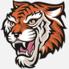 Iron Tiger Corp