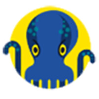 JetOctopus.com