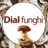 DIAL FUNGHI srl