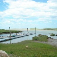 Environmental Resources & Services