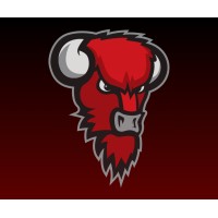 Bisons Loimaa