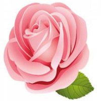 DejaVu Design Center