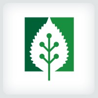 Leaftech Ventures