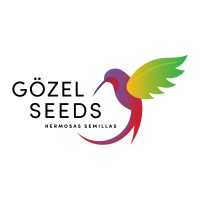 Gözel Seeds