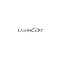 Laminart