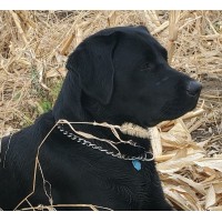 Dakota Infrastructure