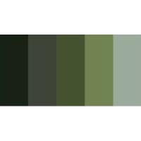 Green Flower CFO