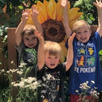 Sunflower Preschool