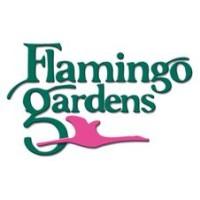 Flamingo Gardens