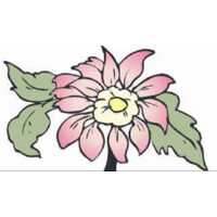 Associazione Dahlia Riabilitazione Onlus - Fisioterapia, Logopedia, Neuropsicomotricità