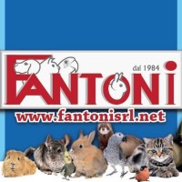 Fantoni srl