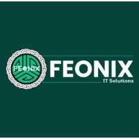 FEONIX IT SOLUTIONS | INFORMATION TECHNOLOGY AND STAFFING SOLUTIONS COMPANY