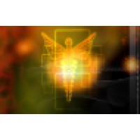 The American Institute of Health Care Professionals, Inc.