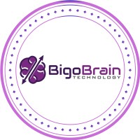 BigoBrain Technology -Top Web Design Company