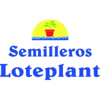 LOTEPLANT, SL