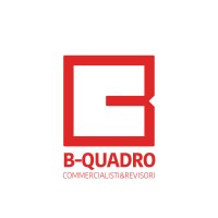 B-Quadro Srl Società tra professionisti