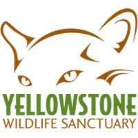 Yellowstone Wildlife Sanctuary