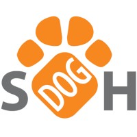 Street Dog Hero