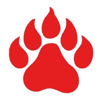 University School Of Jackson
