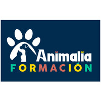 Animalia Formación