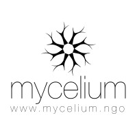 Mycelium