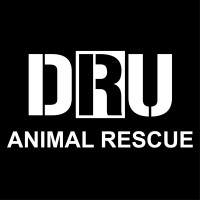 Deathrow Unchained Animal Rescue