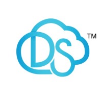 Digital South Communications, Inc.
