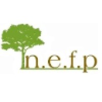New England Forest Products