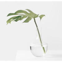 Bailey & Associates, Counseling and Psychotherapy, LLC