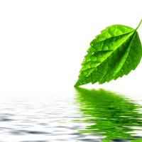 James Environmental Management, Inc.