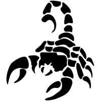 Scorpion Security LLC