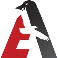Effective Action Consulting LLC