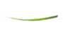 Bocci Bar -  Modern Italian Restaurant & Bar