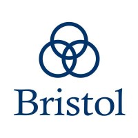 The Bristol Group PLLC