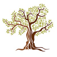Olive Tree Family Counseling, PLLC