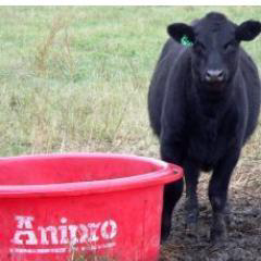 Anipro Xtraformance Feeds