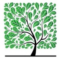 Kaneland Allergy & Asthma Center